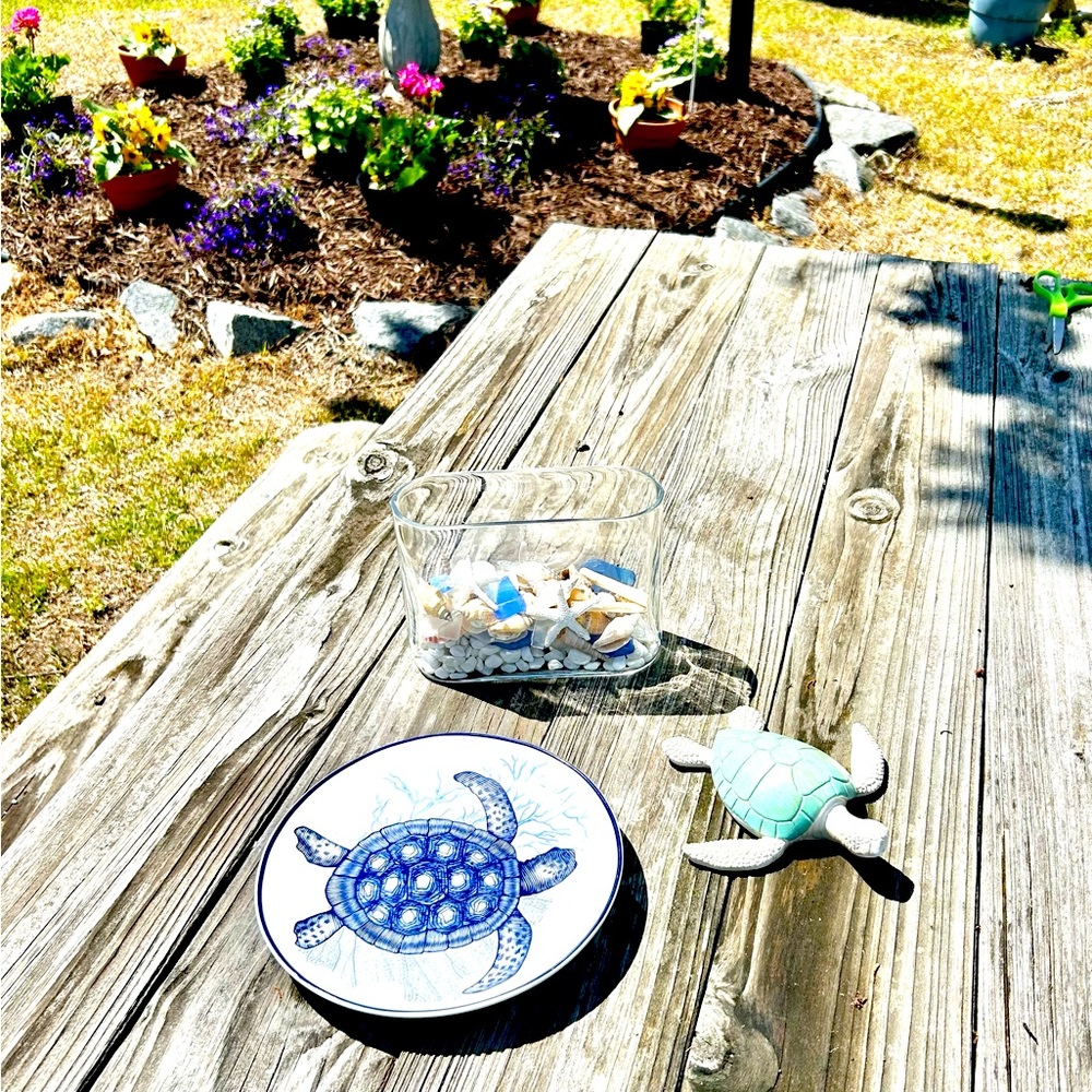 Turtle Plate - Picture 2 of 4
